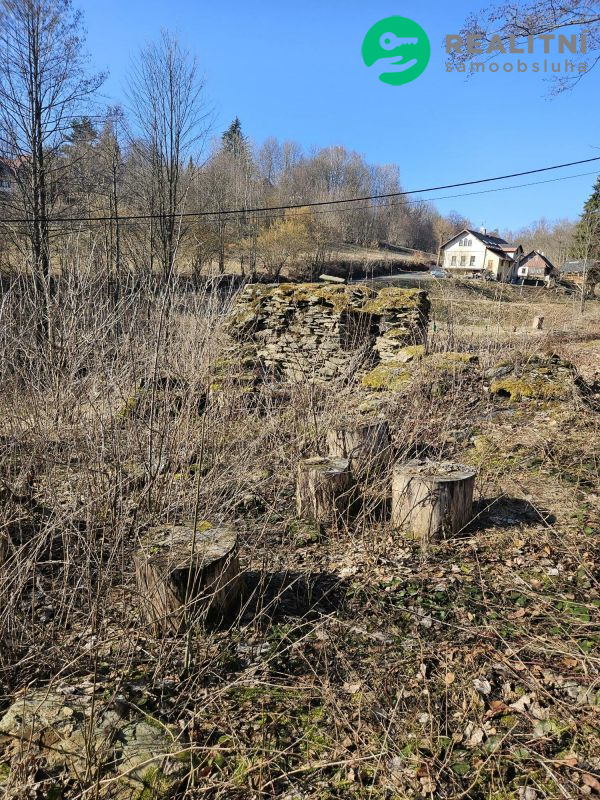 nemovitost
